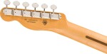 Fender 75th Anniversary Player II Telecaster RW DDS