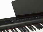 Sencor SDP 50 BK