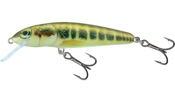 Salmo Wobler Minnow Sinking 7cm,Salmo Wobler Minnow Sinking 7cm