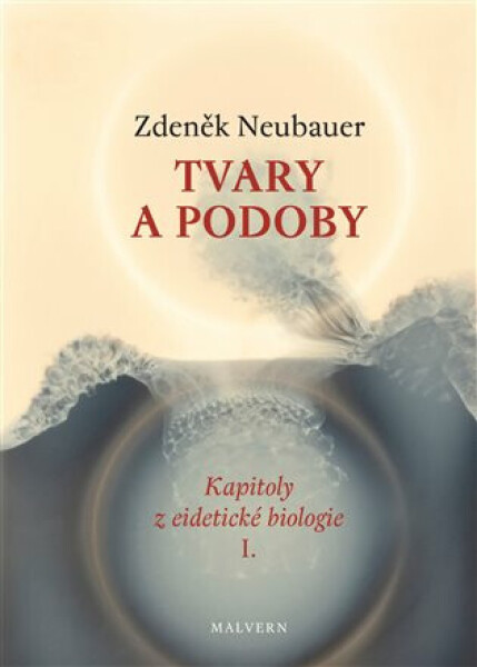 Tvary a podoby - Zdeněk Neubauer, Milan Houser