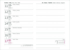 Týdenní diář 2026 Karton P+P A6 - VERDE zelená