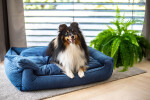 Snug elegantní pelech pro psa Barva: Modrá, Rozměr (cm): 130 x 110