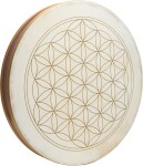 Meinl Sonic Energy WD22FOL