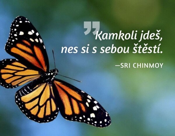 Magnet na lednici - Kamkoli jdeš, nes si s sebou štěstí. - Sri Chinmoy