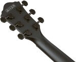Ibanez AEG621-BOT