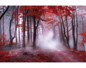 Obraz na plátně Karmínový les, 118x78 cm