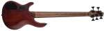 Cort B5 Element OPN