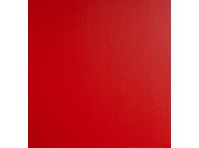 Fotoalbum FA-308-R Fun červené, na fotorůžky 100 stran