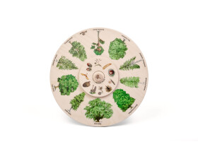 Otočné koleso - Plody SK