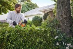Aku nůžky na živý plot STIHL HSA 40