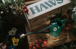 HAWS Konvička s kropítkem Rowley Ripple Green – 1 l, zelená barva, kov