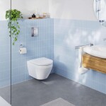 GROHE - Solido Set předstěnové instalace, klozetu Euro Ceramic, sedátka SoftClose a tlačítka Arena Cosmopolitan, Triple Vortex, chrom 102517SH00