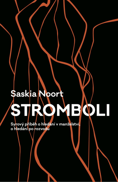Stromboli - Syrový příběh o hledání v manželství, o hledání po rozvodu - Saskia Noort