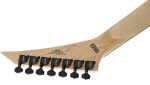 Jackson Pro Dave Davidson Warrior WR7 EB FRR