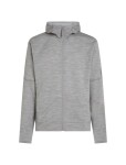 Pánská merino mikina ICEBREAKER Mens Merino 360 Realfleece Elem LS Zip Hood, Metro Heather velikost: L