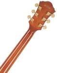Ibanez AF95 Divine Amber