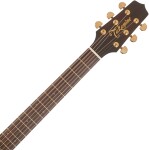 Takamine P5NC