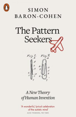The Pattern Seekers : A New Theory of Human Invention - Cohen Simon Baron