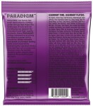 Ernie Ball Paradigm Power Slinky