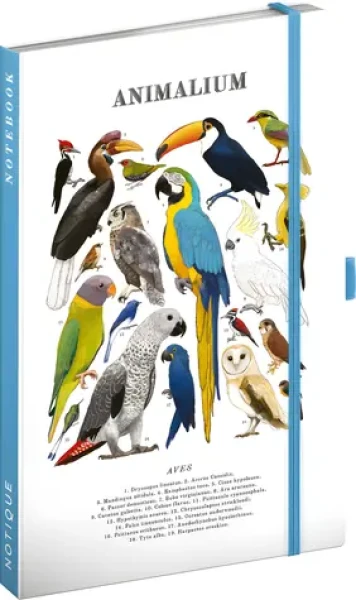 NOTIQUE Notes Animalium – Ptáci / Linkovaný zápisník / A5 / 172 stran