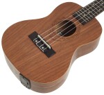 Tanglewood TWT 3 E