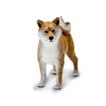 Safari Ltd. Safari Ltd. Figurka - Shiba Inu