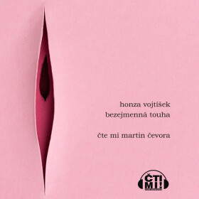 Bezejmenná touha - Honza Vojtíšek - audiokniha