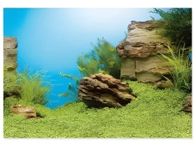 Juwel Pozadí 150 x 60 cm / Akvarijní pozadí / Oboustranné / XL (E1-86270)