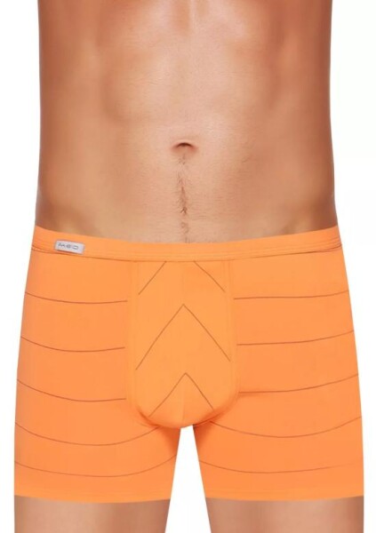Pánské boxerky BodyandSoul 10/1-13/410 FABIO