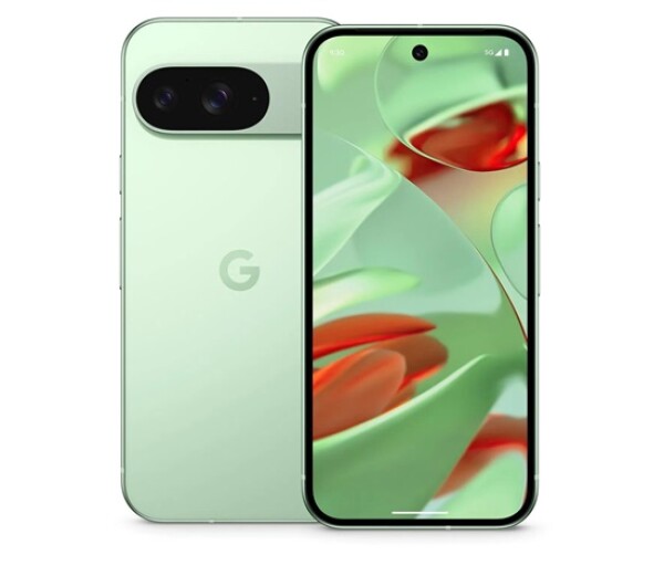Google Pixel 9 - 256GB Wintergreen, EU EDF_1289013