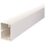 OBO Bettermann 6020887 kabelová lišta (d x š x v) 2000 x 60 x 40 mm 1 ks krémově bílá