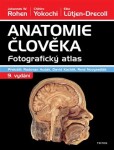 Anatomie člověka