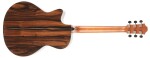 Furch Rainbow Gc-DE