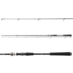 Daiwa Prut Exceler Spin 2,4m 10-40g (11662-240)