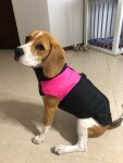 Slim-rainy obleček pro psa na zip Barva: Černo-červená, Délka zad (cm): 51, Obvod hrudníku: 74 - 80 cm
