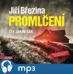 Promlčení Jiří Březina