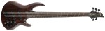 ESP LTD B-1005 MS NS