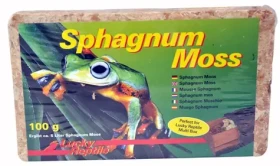 Lucky Reptile Sphagnum Moos rašeliník 100 g