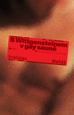 S Wittgensteinem v gay sauně - Vratislav Maňák