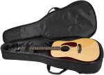 Eastman E1D-DLX