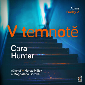 V temnotě - Cara Hunter