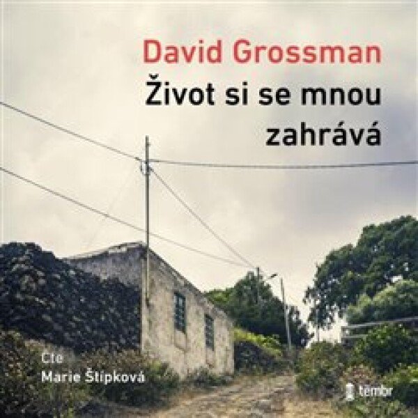 Život si se mnou zahrává David Grossman