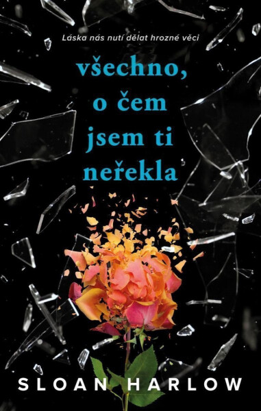 Všechno, o čem jsem ti neřekla - Sloan Harlow