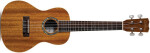 Cordoba 15CM Concert Ukulele - Natural