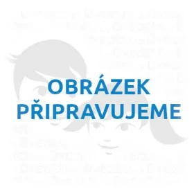 2KIDS TOYS 3D dřevěná magnetka Památky Prahy
