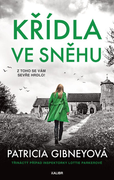 Křídla ve sněhu - Patricia Gibneyová