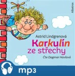 Karkulín ze střechy Astrid