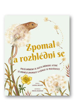 Zpomal rozhlédni se
