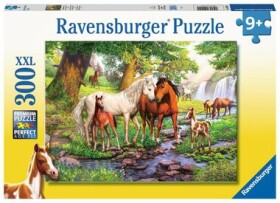 Ravensburger Koně u řeky
