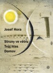 Struny ve větru, Tvůj hlas, Domov Josef Hora